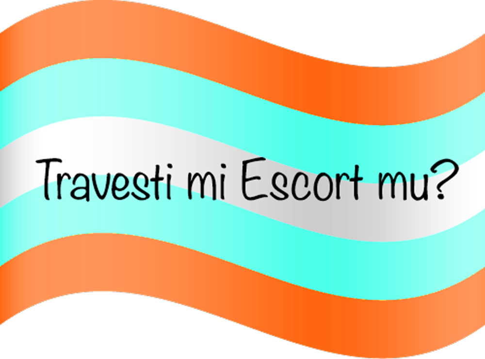 Travesti mi? Escort mu ?